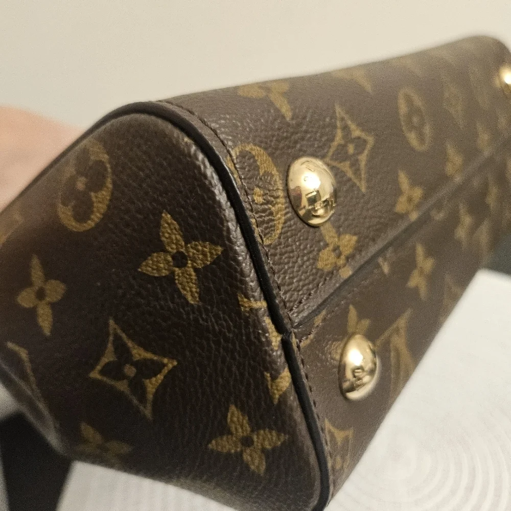 Louis Vuitton Cluny BB Monogram Maison Strap Crossbody